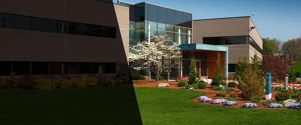 Federal Way Landscapers