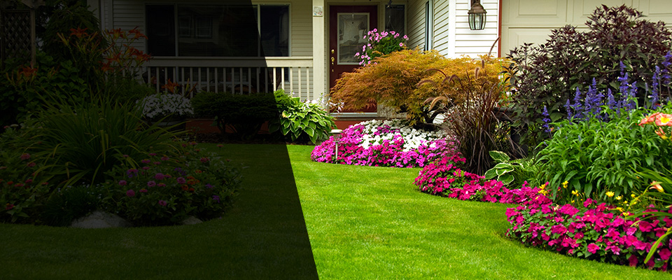 Federal Way Landscapers