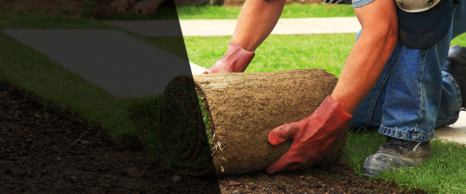 Federal Way Landscapers